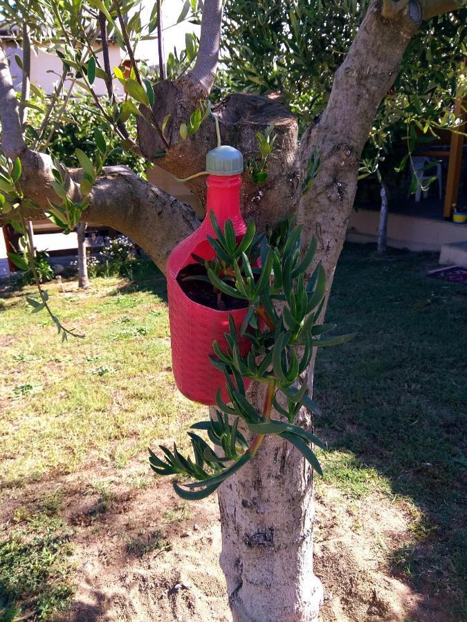 Apartamento Farma Giannis Sarti Exterior foto